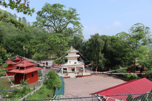 Dharpani_Dang_1(1).jpg