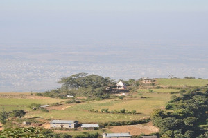 sawarikotweb.jpg